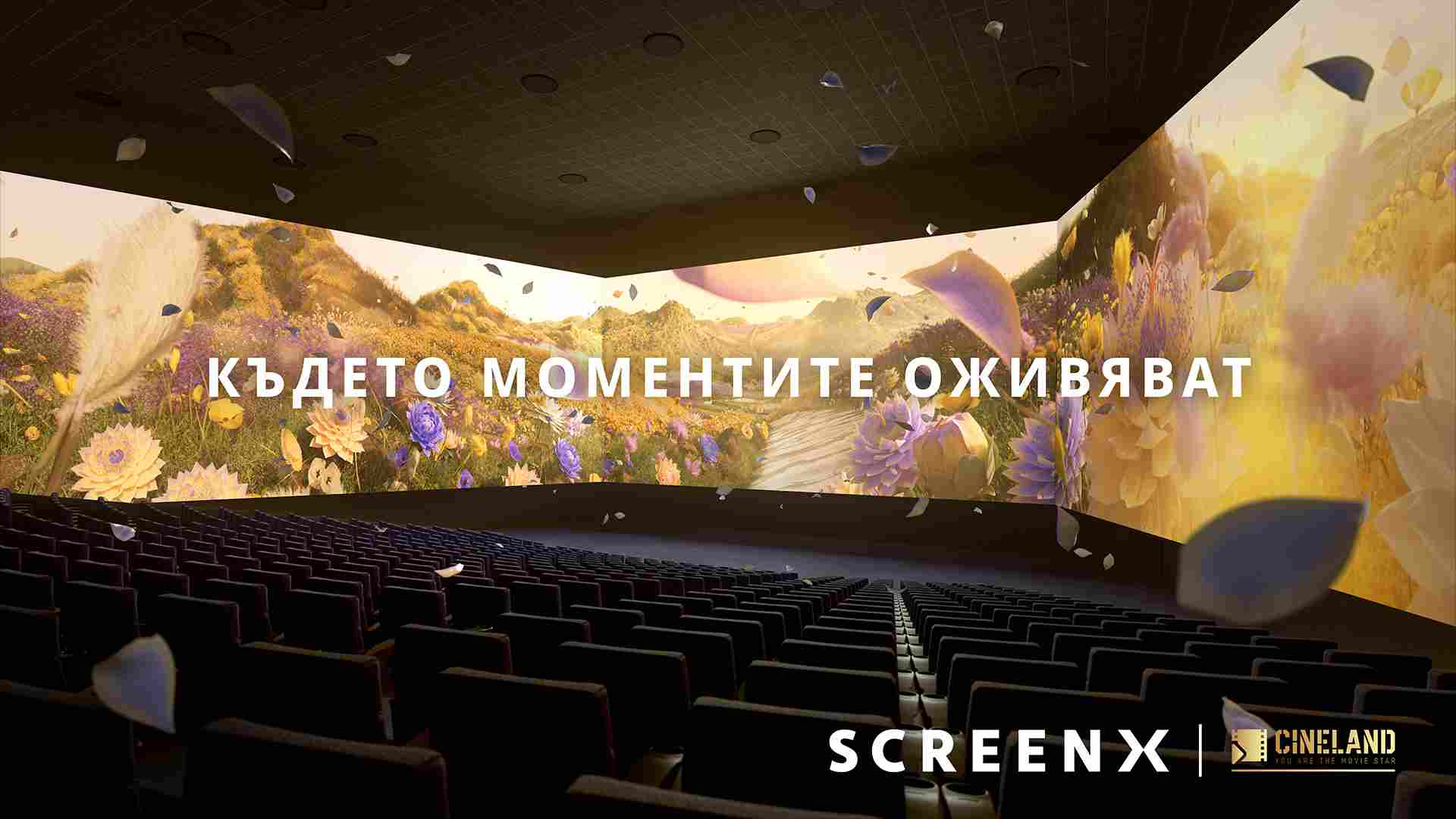 ScreenX visual